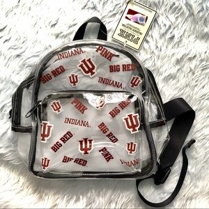 Pink Victoria’s Secret Clear Micro Backpack IU